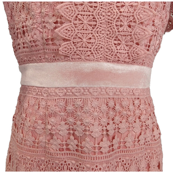 Rachel Parcell Pink Lace Sheath Dress Size S Velvet Coquette Crochet Pencil - Picture 5 of 10